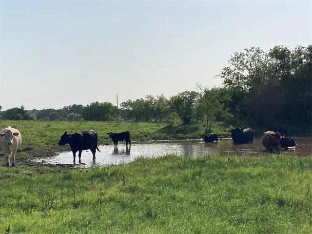 an aerial view of a house with a yard and lake view