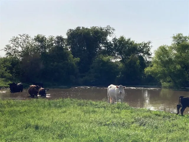 a view of an ocean from a window