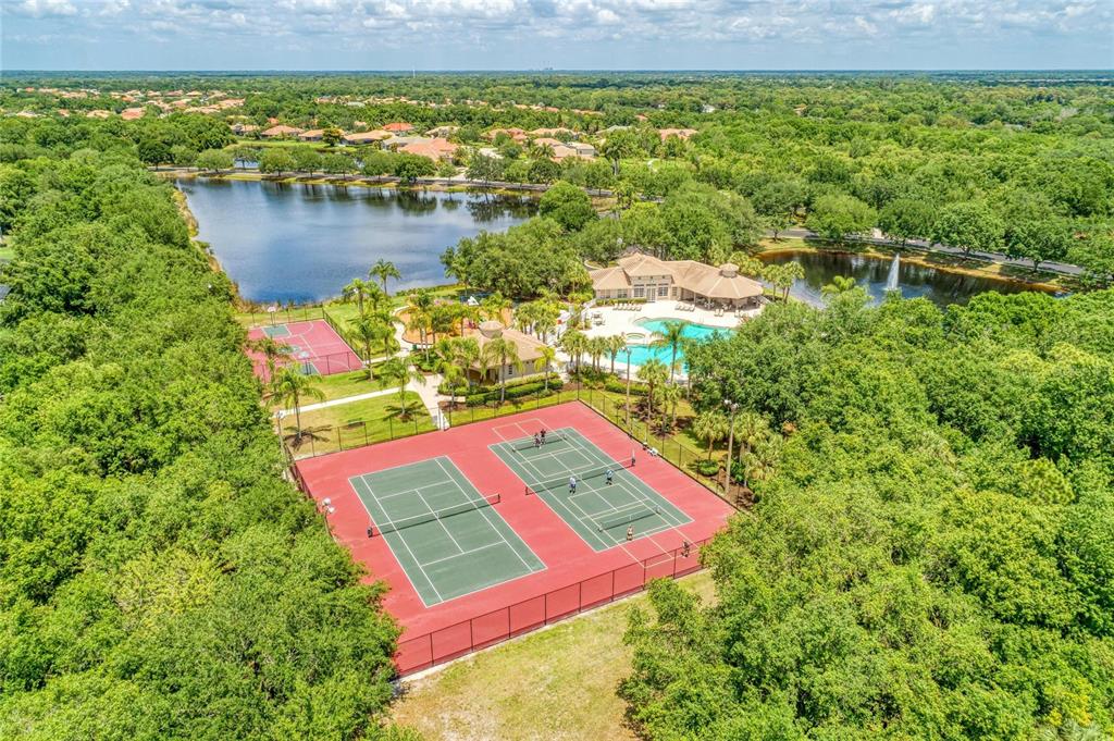 337 Snapdragon Loop Bradenton, FL 34212 - Photo 77 of 78