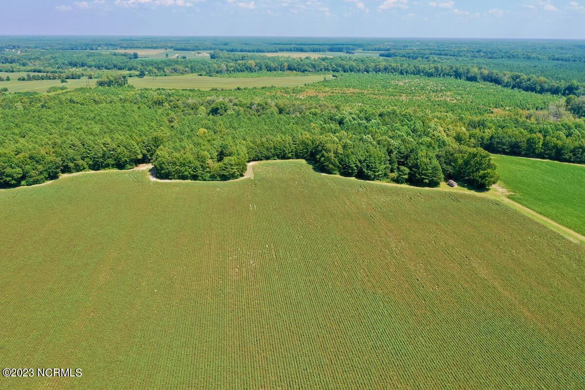 0 Hargraves Road Jackson, NC 27845 - Photo 30 of 50 29