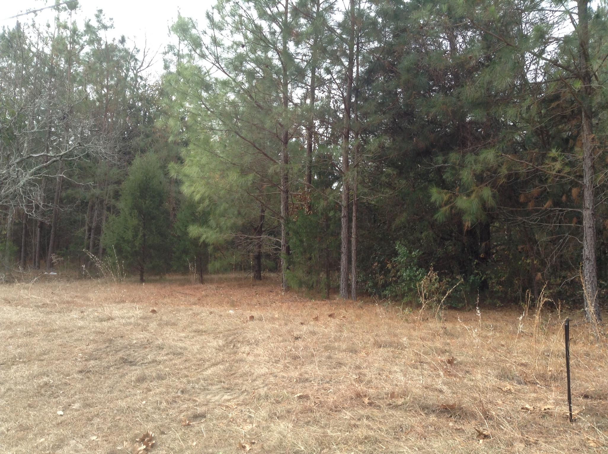 4560 Niagara Carthage Road Carthage, NC 28327 - Photo 2 of 4 Niagara Carthage 2