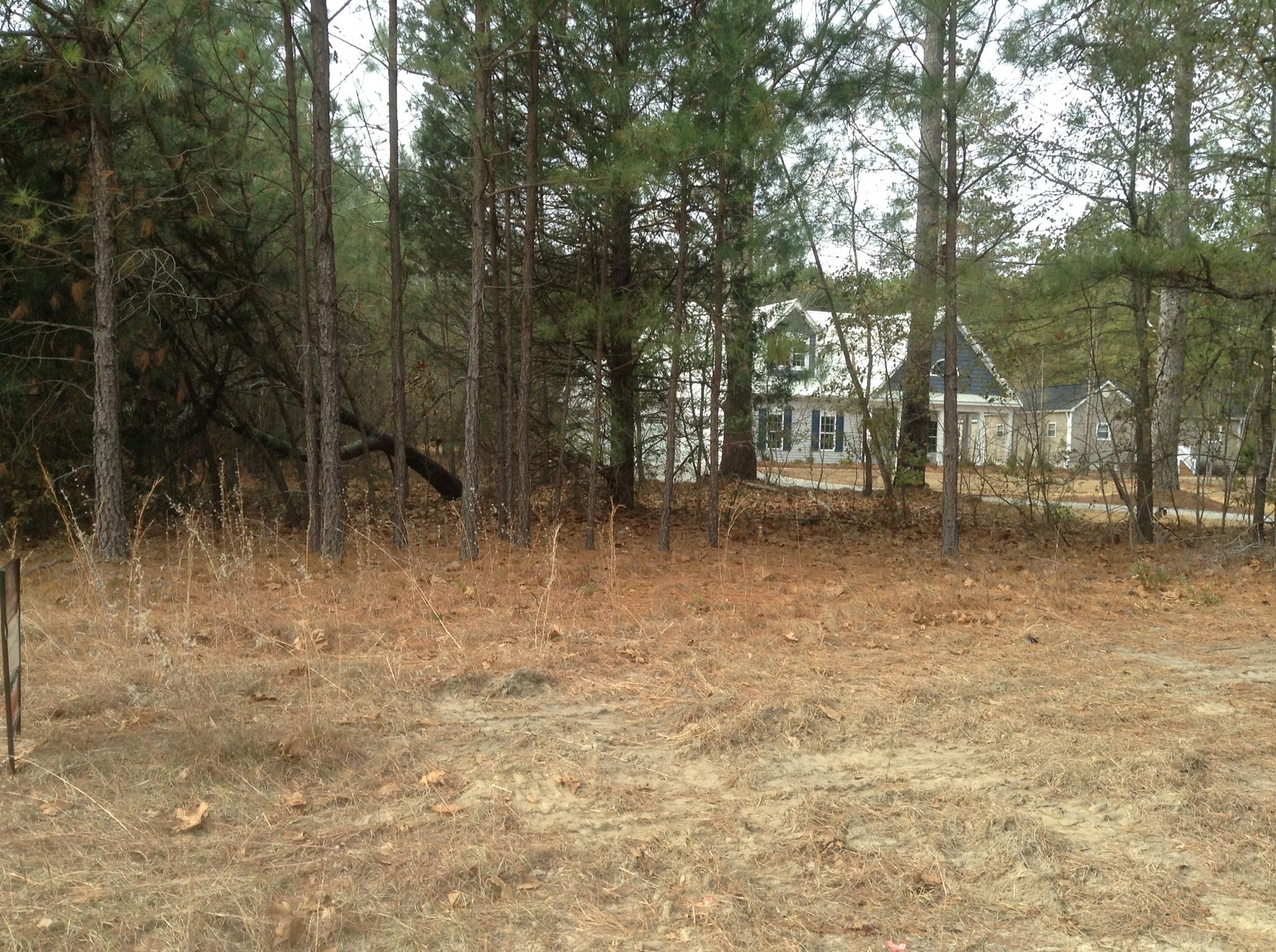 4560 Niagara Carthage Road Carthage, NC 28327 - Photo 3 of 4 Niagara Carthage 3