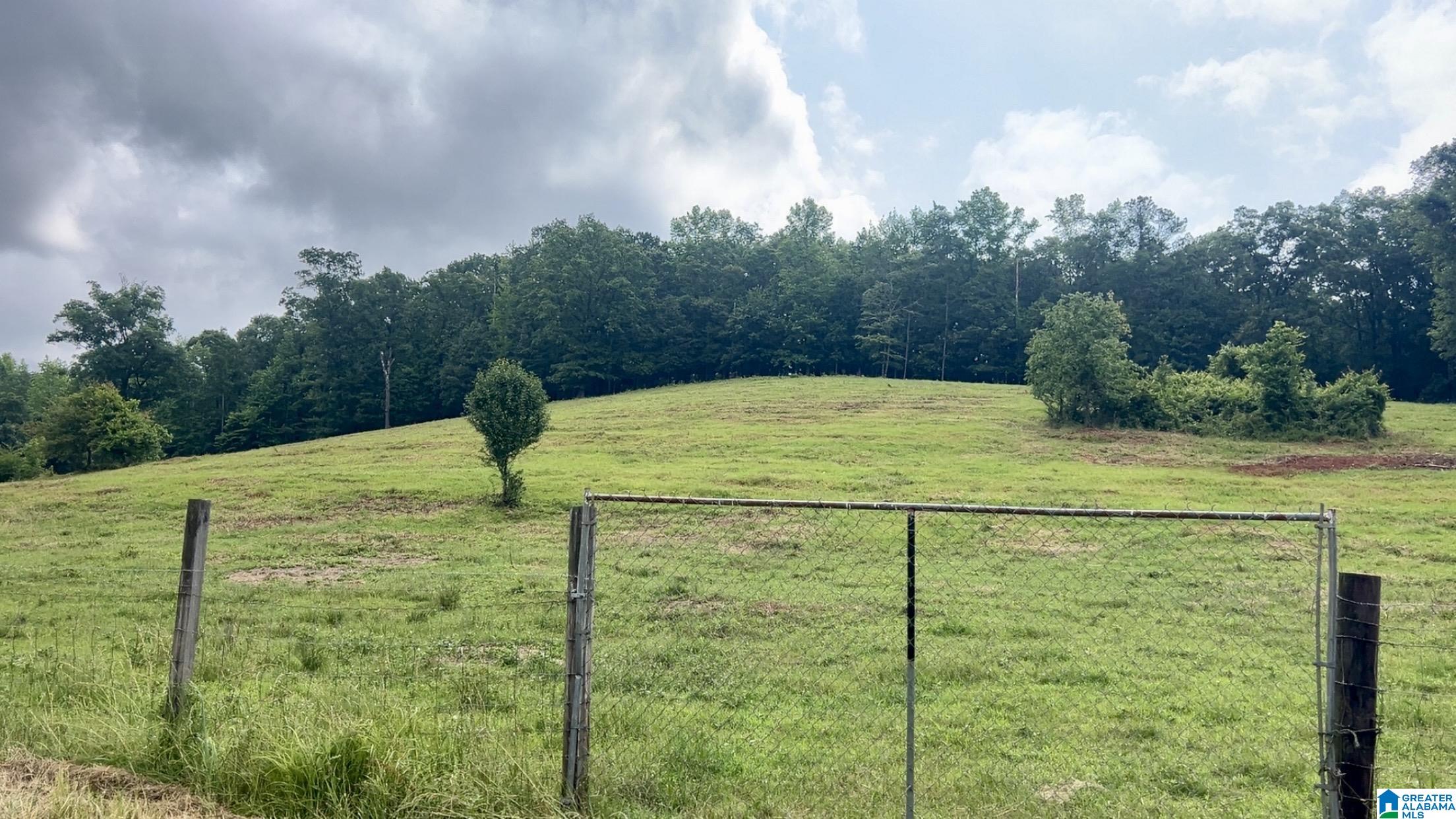 988 Mines Road, Unit 100 Ashland, AL 36251 - Photo 7 of 17