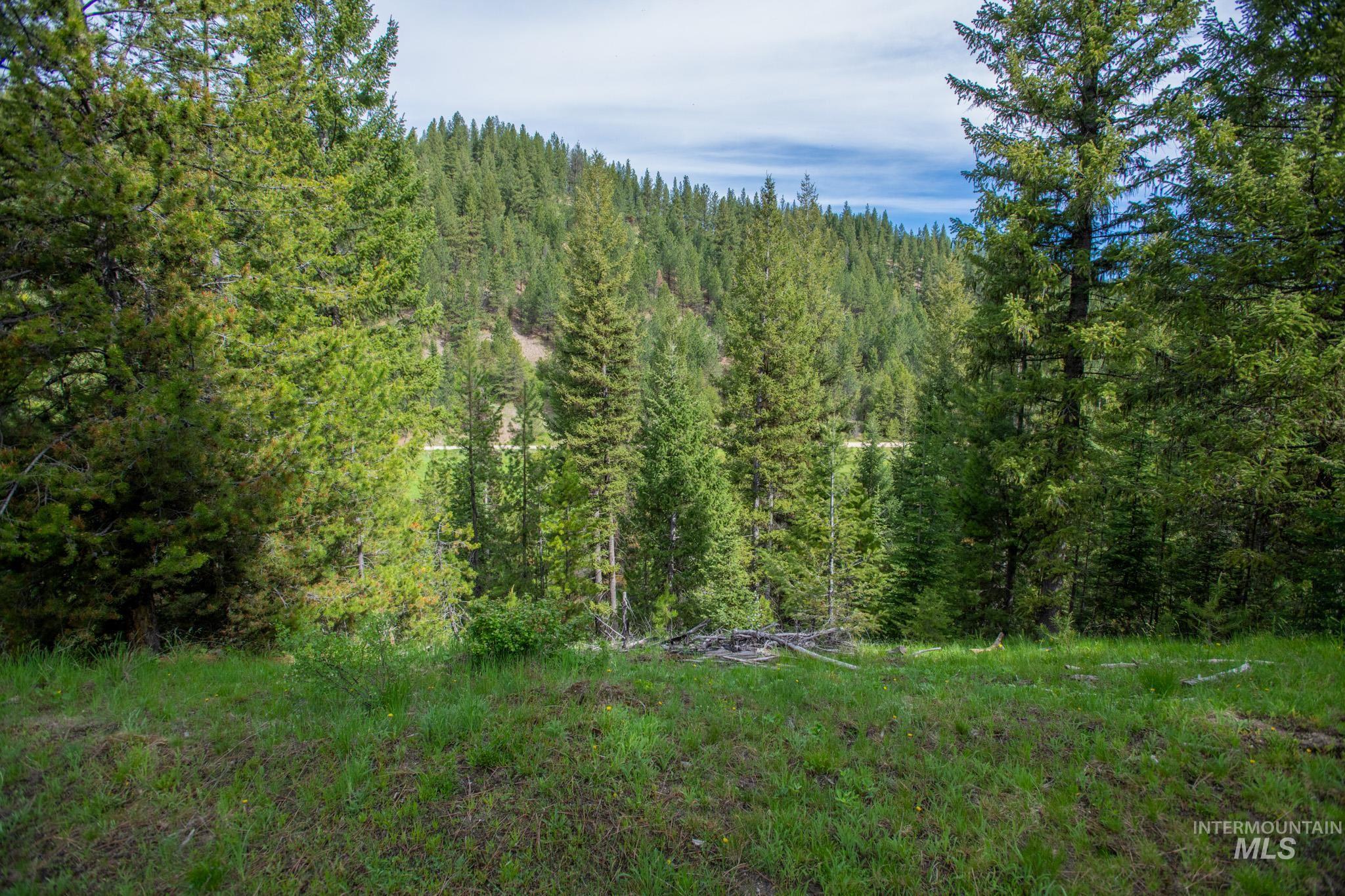 36 Clear Creek Road Cascade, ID 83611 - Photo 6 of 10