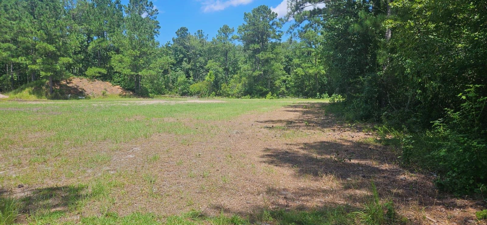 0 Britt Road Orrum, NC 28369 - Photo 11 of 14 Photo 11