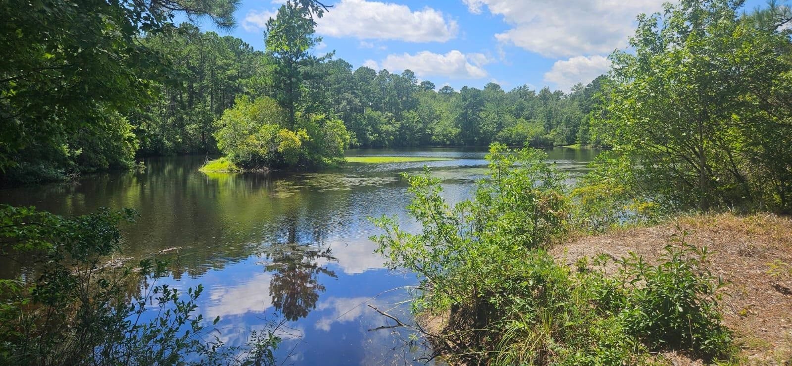 0 Britt Road Orrum, NC 28369 - Photo 3 of 14 Photo 3