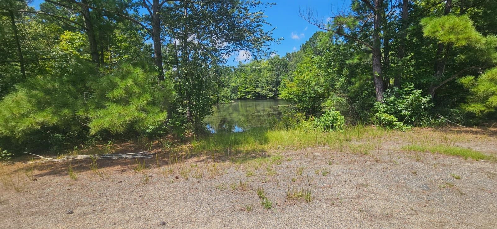 0 Britt Road Orrum, NC 28369 - Photo 6 of 14 Photo 6