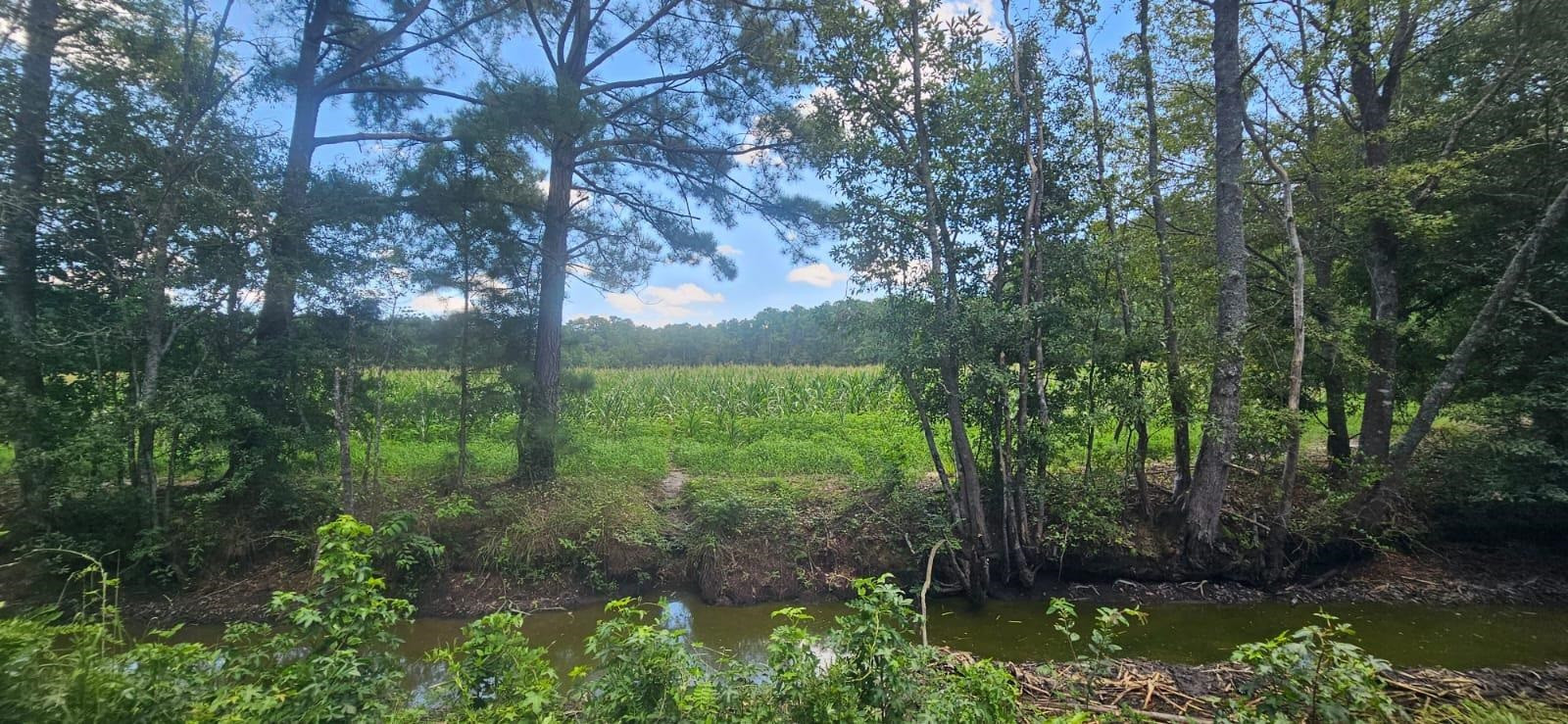 0 Britt Road Orrum, NC 28369 - Photo 8 of 14 Photo 8