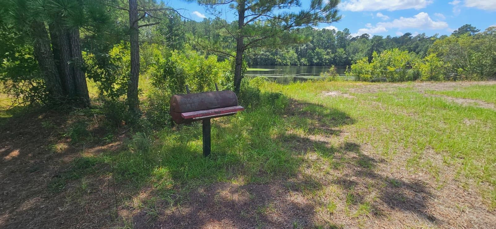 0 Britt Road Orrum, NC 28369 - Photo 10 of 14 Photo 10