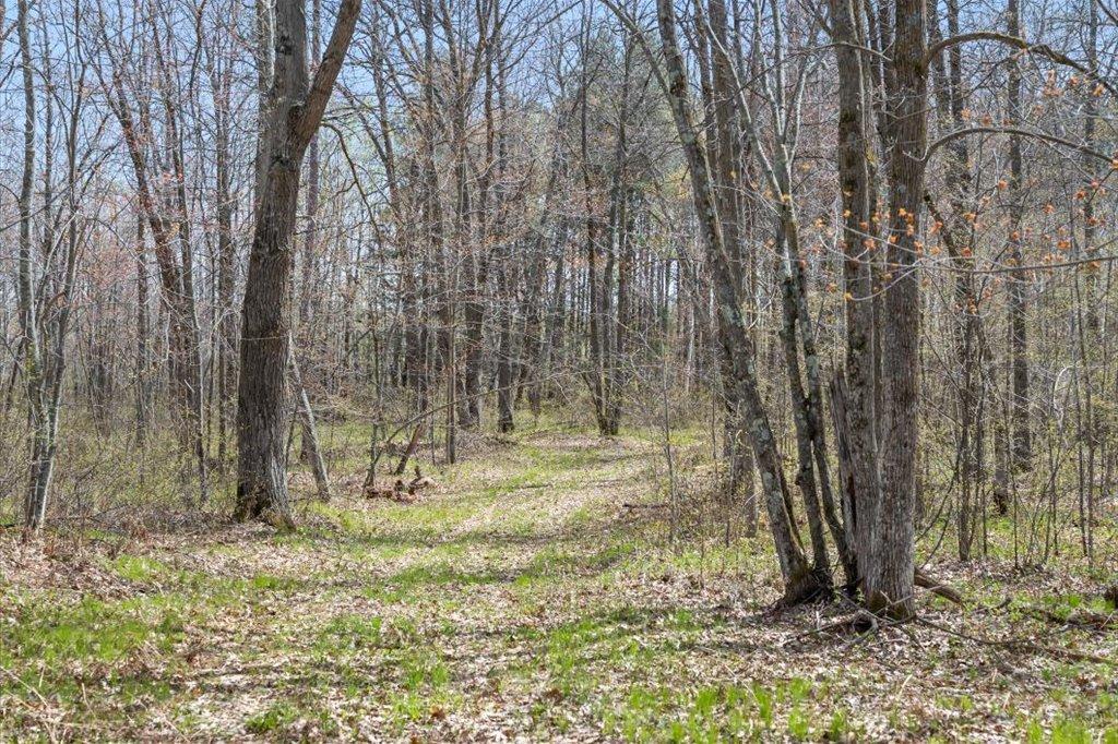 9382 County Road 8 Brainerd, MN 56401 - Photo 78 of 108