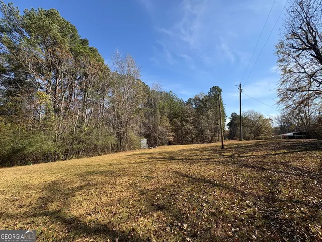 a view of a yard with a tree
