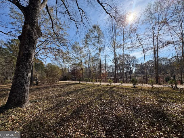 a view of a yard with tree s