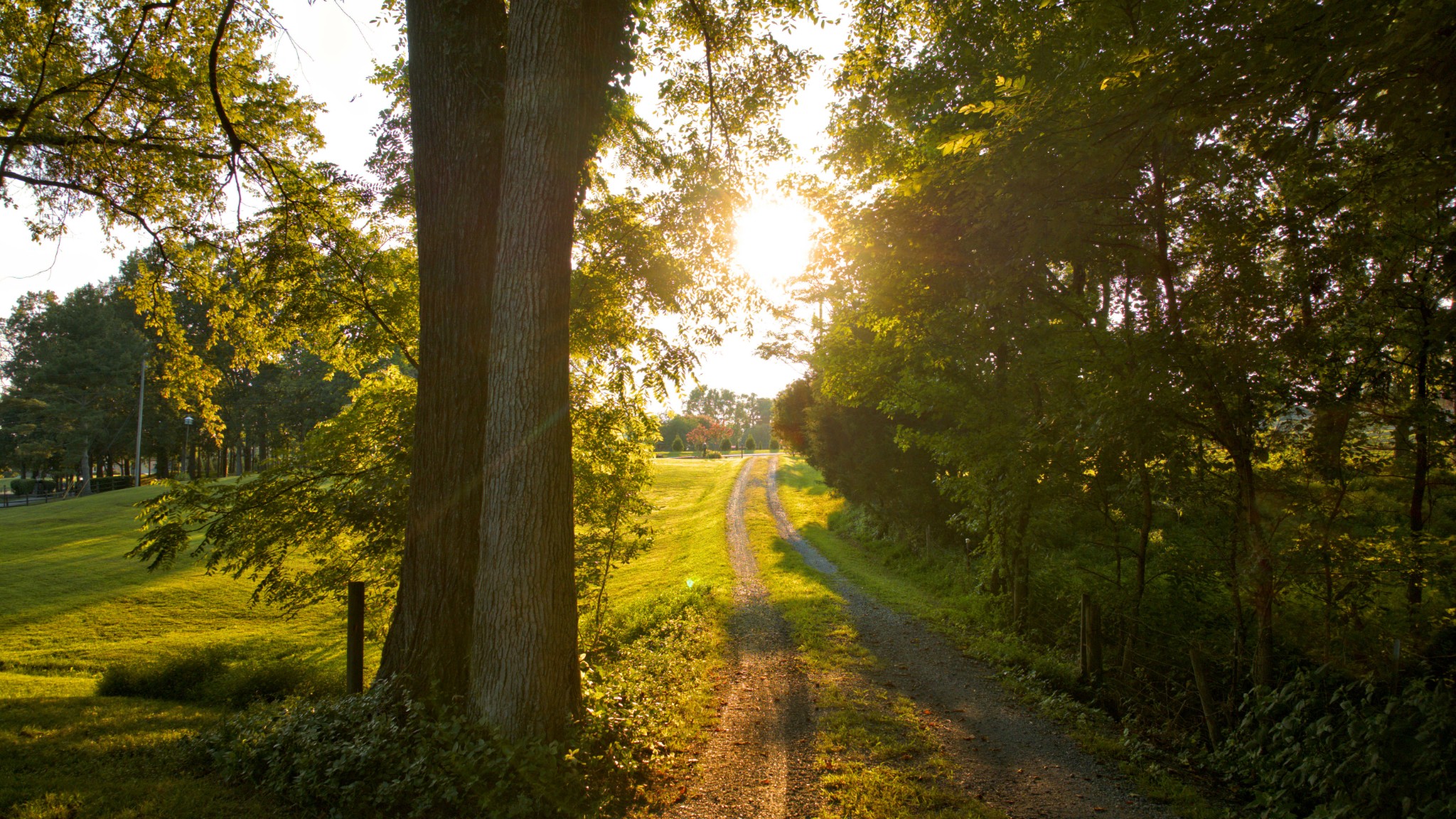 1665 Palmer Road Lebanon, TN 37090 - Photo 2 of 48