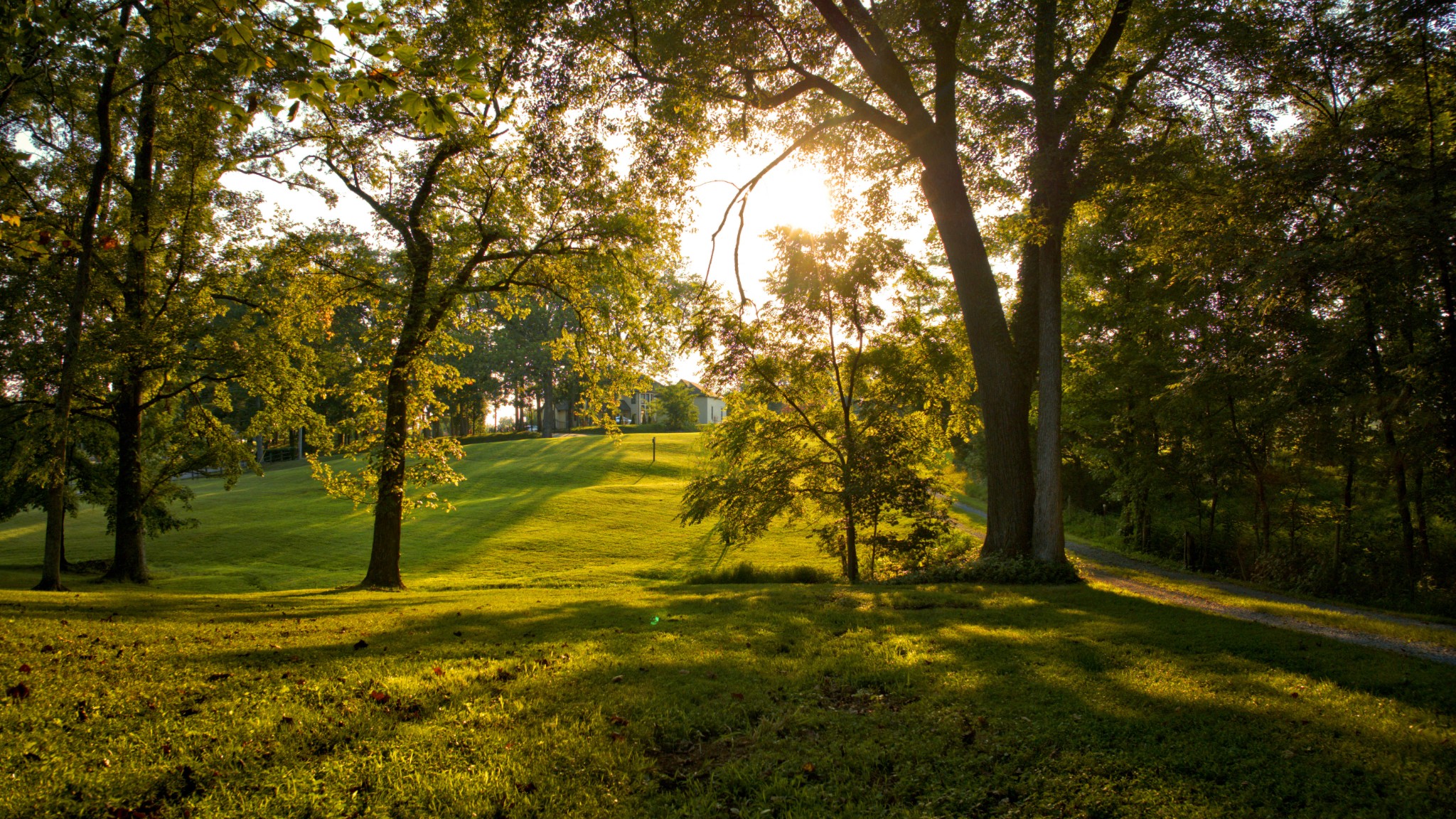 1665 Palmer Road Lebanon, TN 37090 - Photo 37 of 48