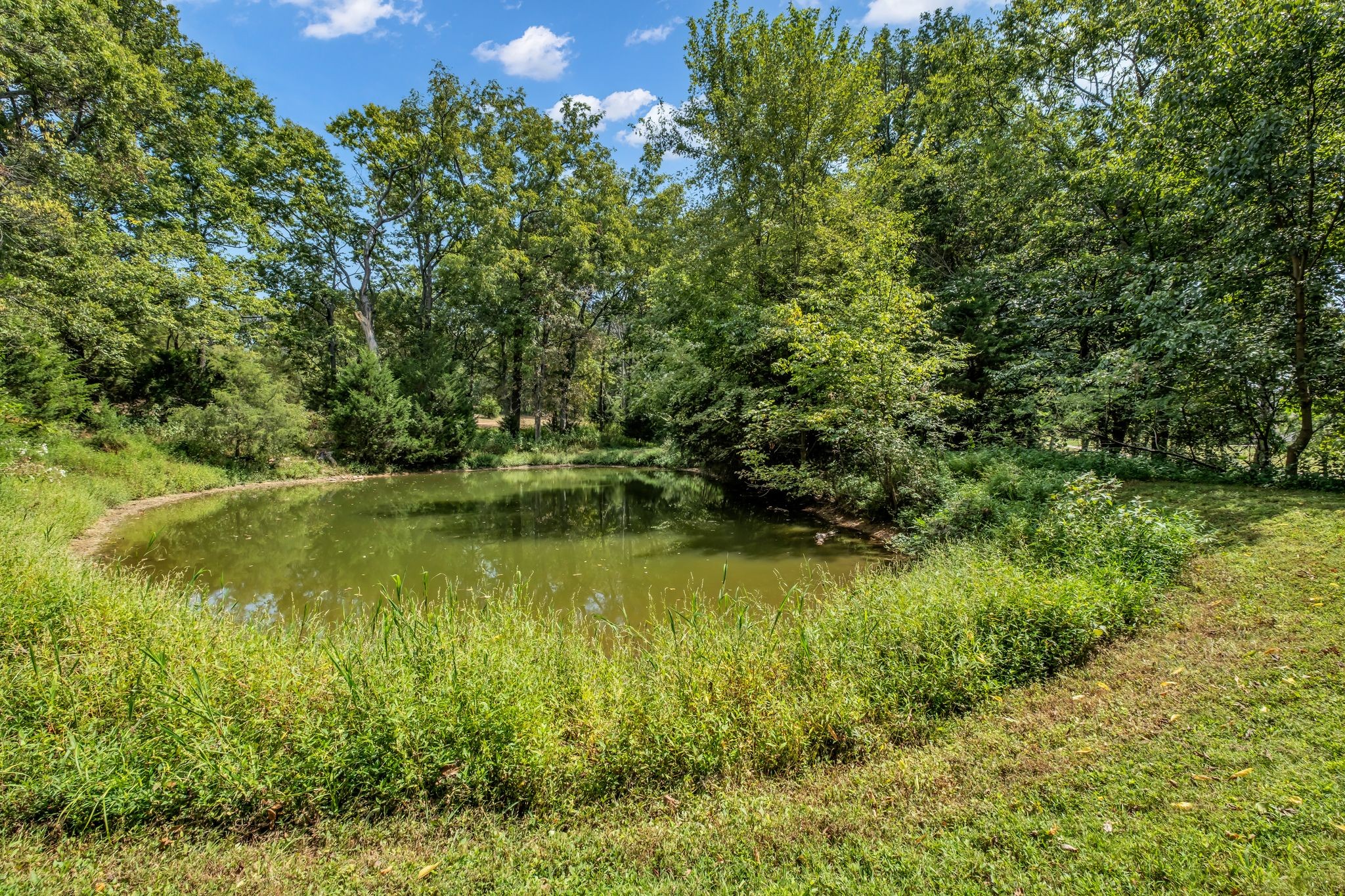 1665 Palmer Road Lebanon, TN 37090 - Photo 42 of 48