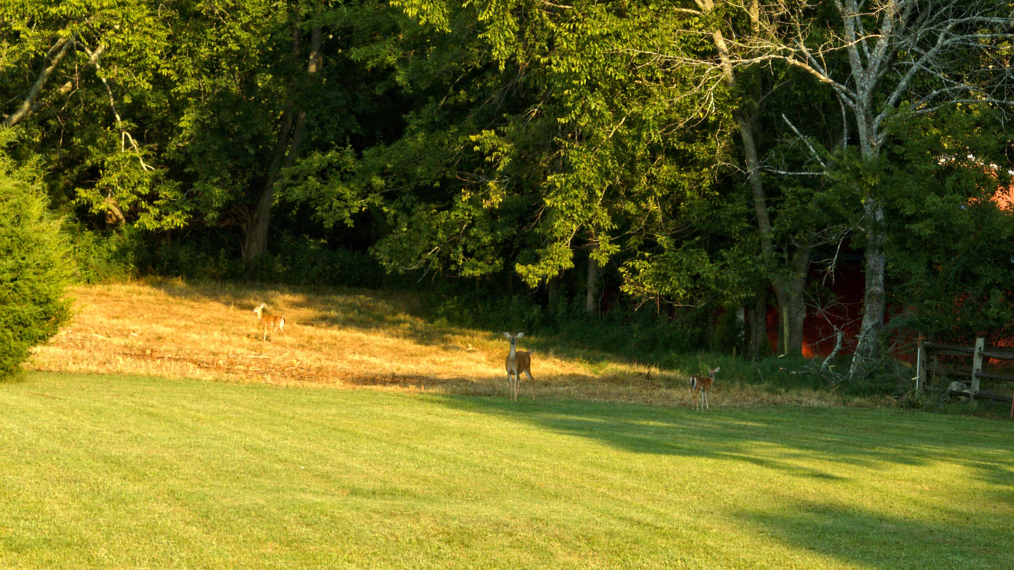 1665 Palmer Road Lebanon, TN 37090 - Photo 48 of 48