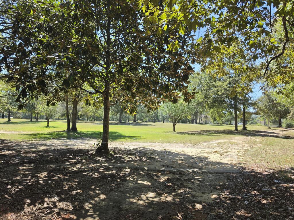 388 Ramer Loop Cottonwood, AL 36320 - Photo 29 of 29 Gallery Image 29