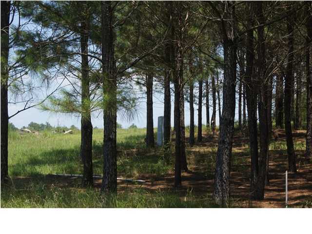 399 Ford Hill Road DeFuniak Springs, FL 32433 - Photo 12 of 12 Additional Photo