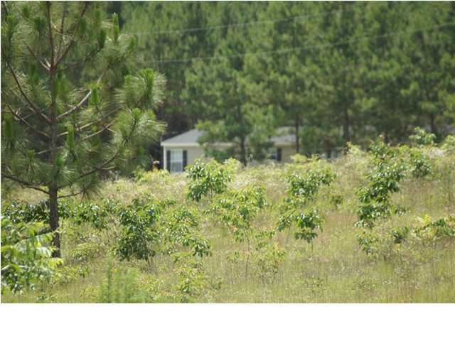 399 Ford Hill Road DeFuniak Springs, FL 32433 - Photo 2 of 12 Additional Photo
