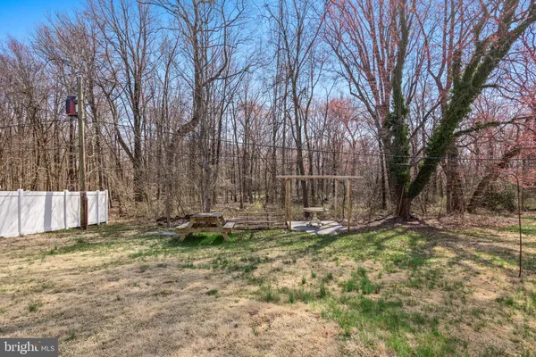 a view of a backyard with large trees