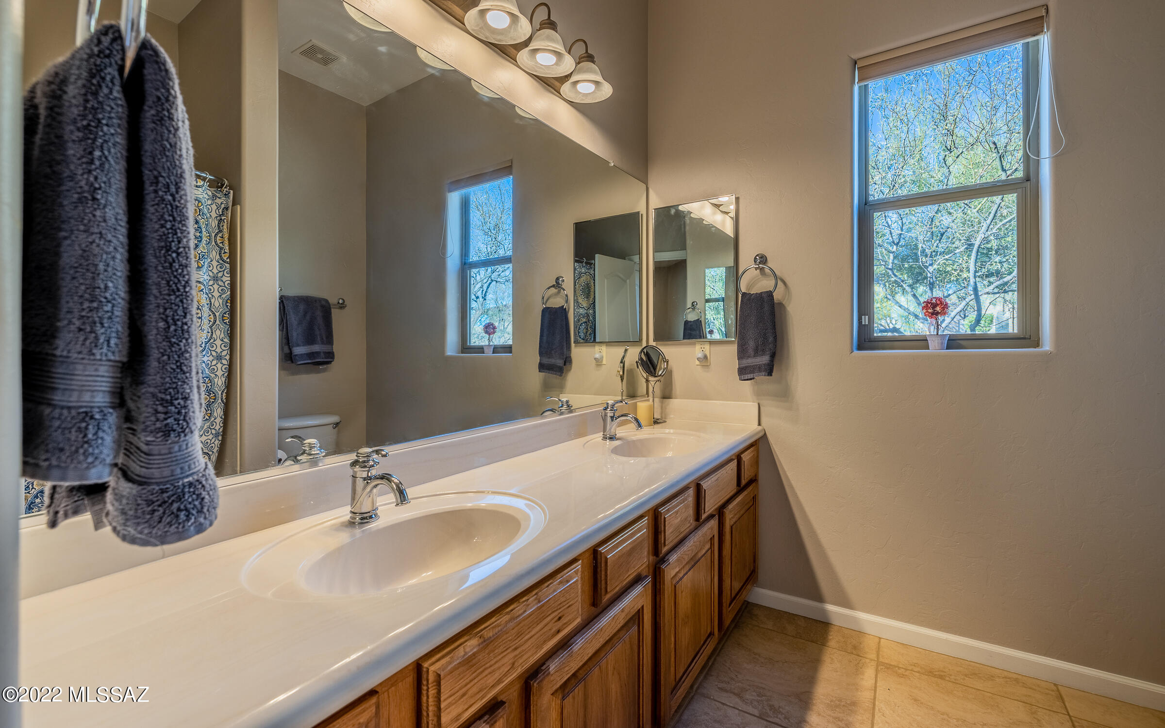 12658 North Yellow Bird Road Tucson, AZ 85755 - Photo 28 of 44