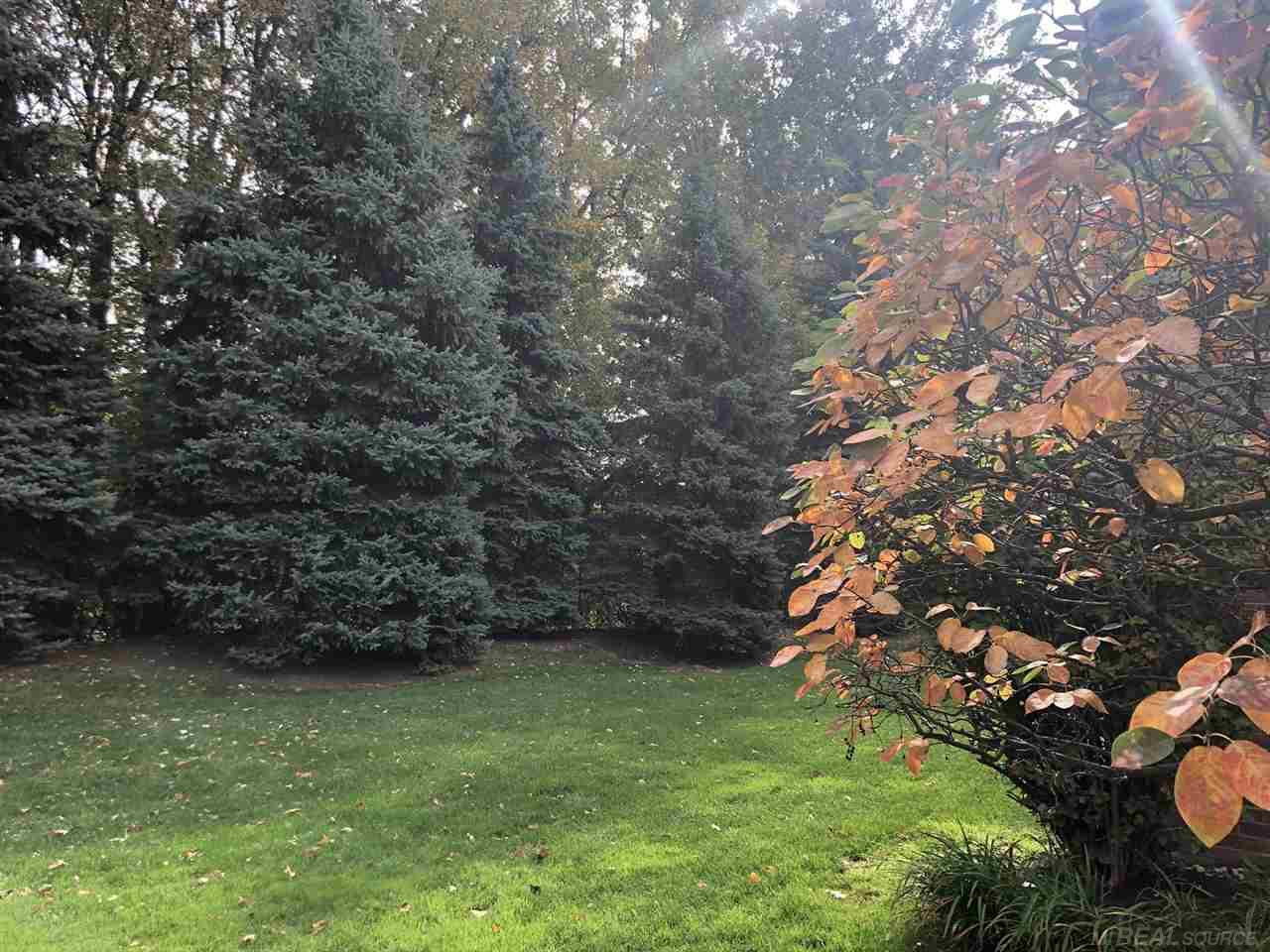 39156 Hayes Road Clinton Township, MI 48038 - Photo 49 of 72