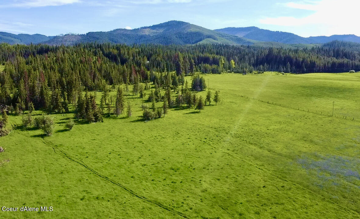 19 Green Valley Road Fernwood, ID 83830 - Photo 1 of 1 2022-06-07-16-43-59-917