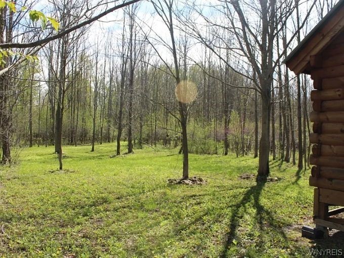 330 Cummings Road Sandy Creek, NY 13142 - Photo 8 of 24 Gallery Image 8