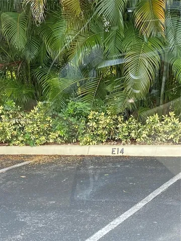 a close up of a plant in a yard