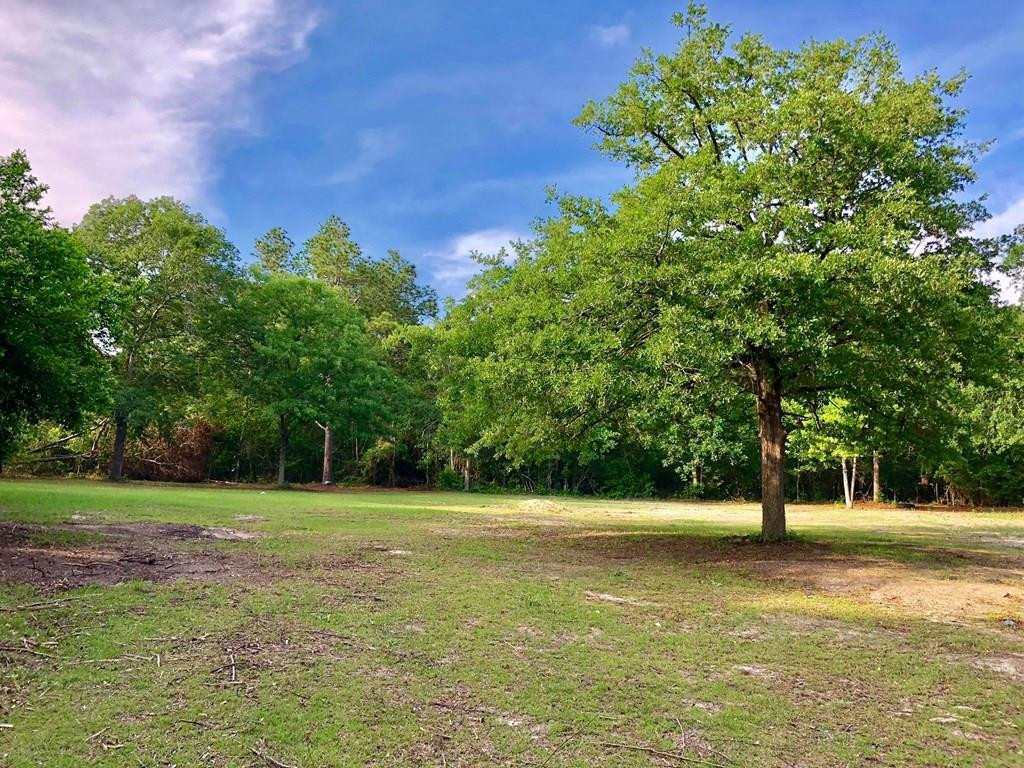3012 Old Sudlow Lake Road North Augusta, SC 29841 - Photo 10 of 12