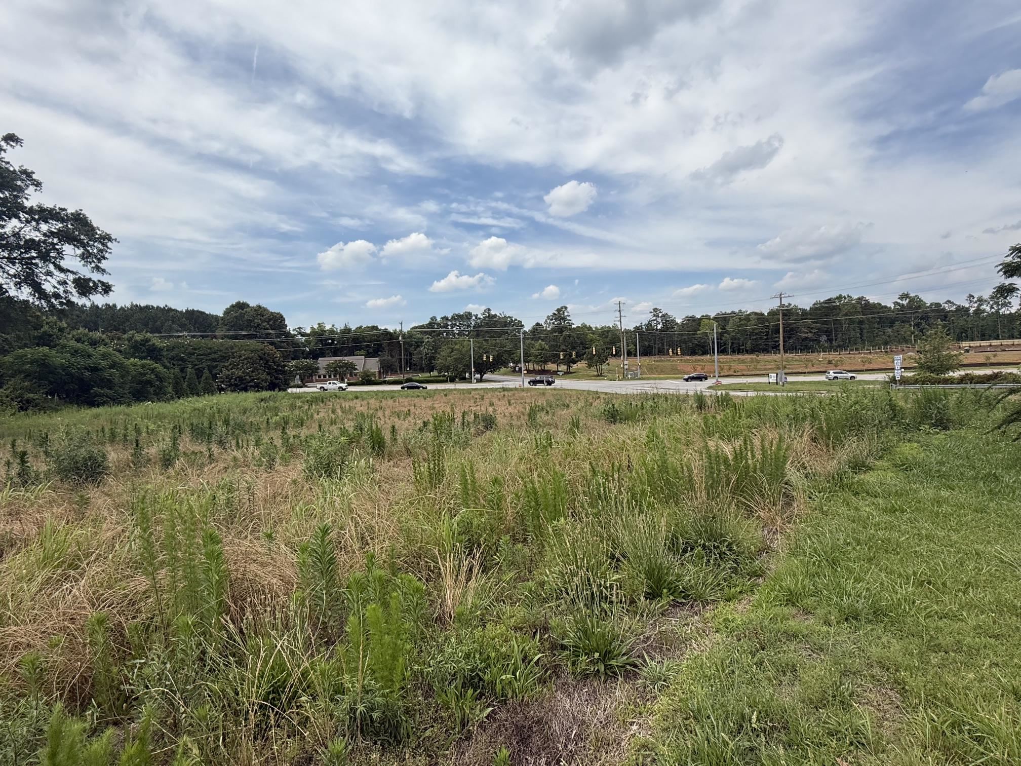 0 Highway 417 Moore, SC 29369 - Photo 2 of 3
