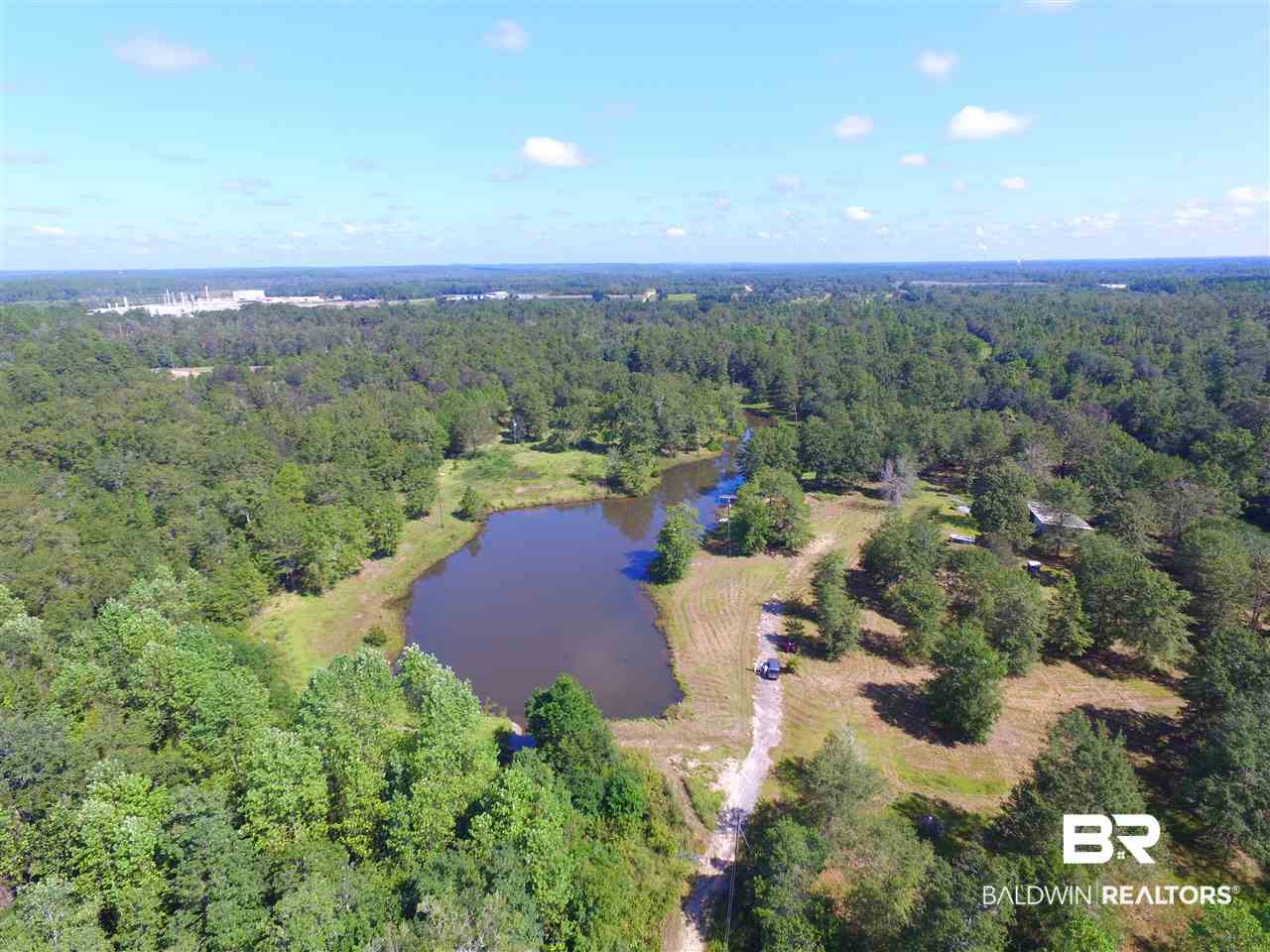 1341 Radcliff Road Creola, AL 36525 - Photo 6 of 21 Looking north