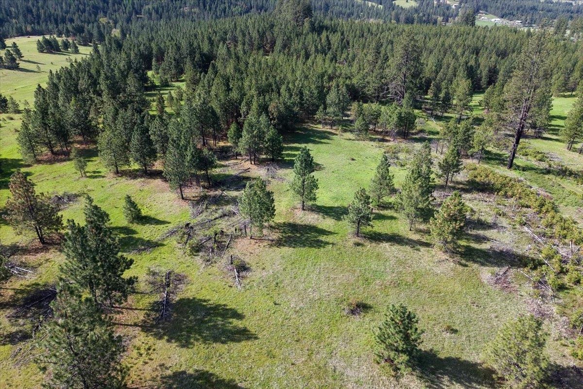 Tbd East Belmont Road Mica, WA 99023 - Photo 11 of 27