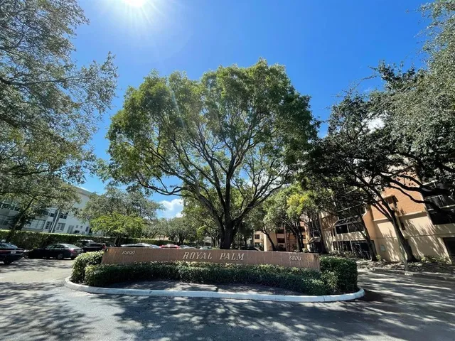 a street view with large trees