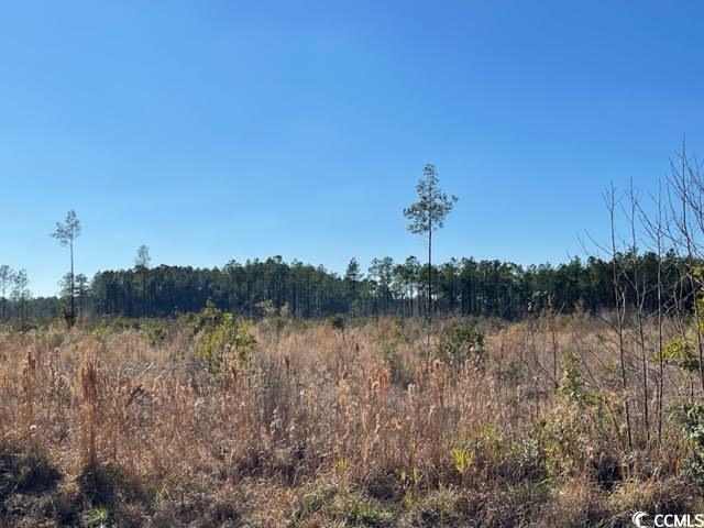 1279 Cheyenne Road Conway, SC 29526 - Photo 1 of 4 View of nature