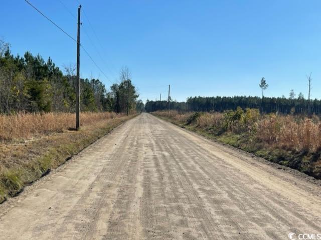 1279 Cheyenne Road Conway, SC 29526 - Photo 4 of 4 View of dirt / gravel road