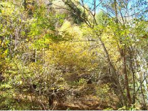Tbd Lone Star Road Bristol, VA 24202 - Photo 2 of 9 Photo 2