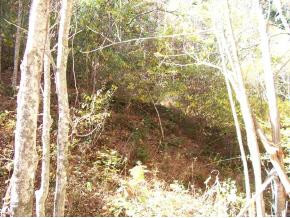 Tbd Lone Star Road Bristol, VA 24202 - Photo 5 of 9 Photo 5