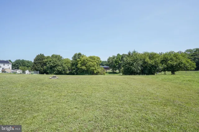 a view of a field with an trees