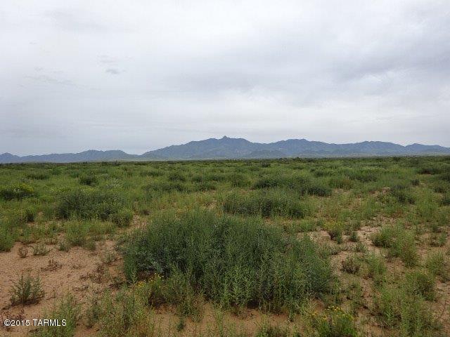 0 East Arzberger Road, Unit 162 Willcox, AZ 85643 - Photo 7 of 9