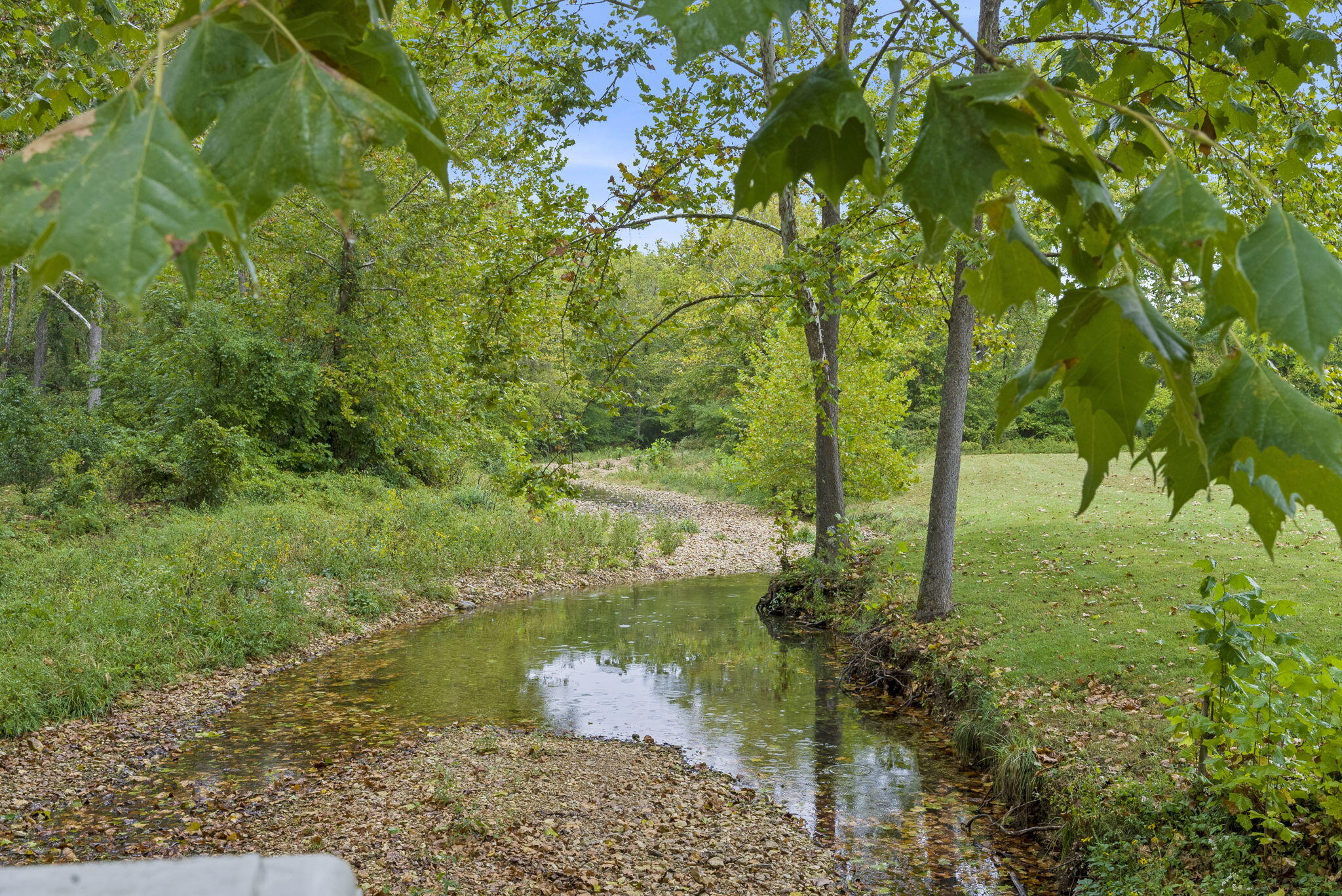 735 Co Road Sparta, MO 65753 - Photo 66 of 73 Nature at its Finest