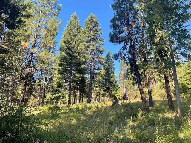 $650,000 | Tbd Crowley Lane, McCall, ID 83638