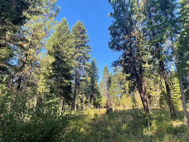 $650,000 | Tbd Crowley Lane, McCall, ID 83638