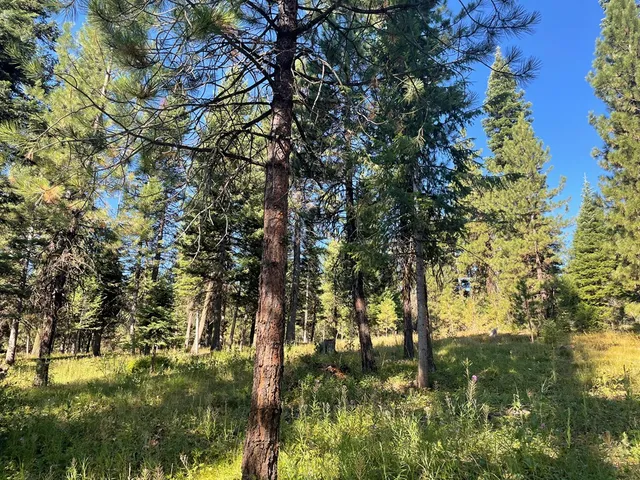 $650,000 | Tbd Crowley Lane, McCall, ID 83638