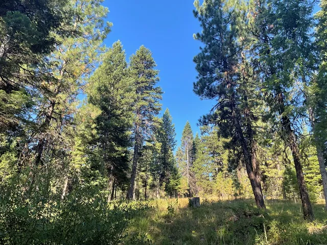 $650,000 | Tbd Crowley Lane, McCall, ID 83638