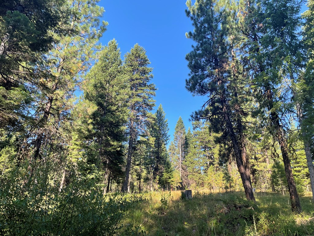Tbd Crowley Lane McCall, ID 83638 - Photo 14 of 18