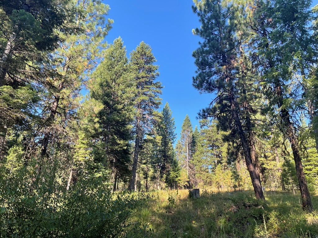 Tbd Crowley Lane McCall, ID 83638 - Photo 15 of 18