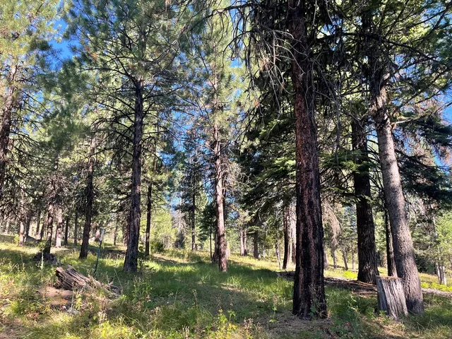 $650,000 | Tbd Crowley Lane, McCall, ID 83638