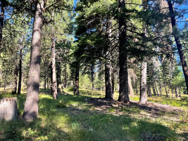 $650,000 | Tbd Crowley Lane, McCall, ID 83638