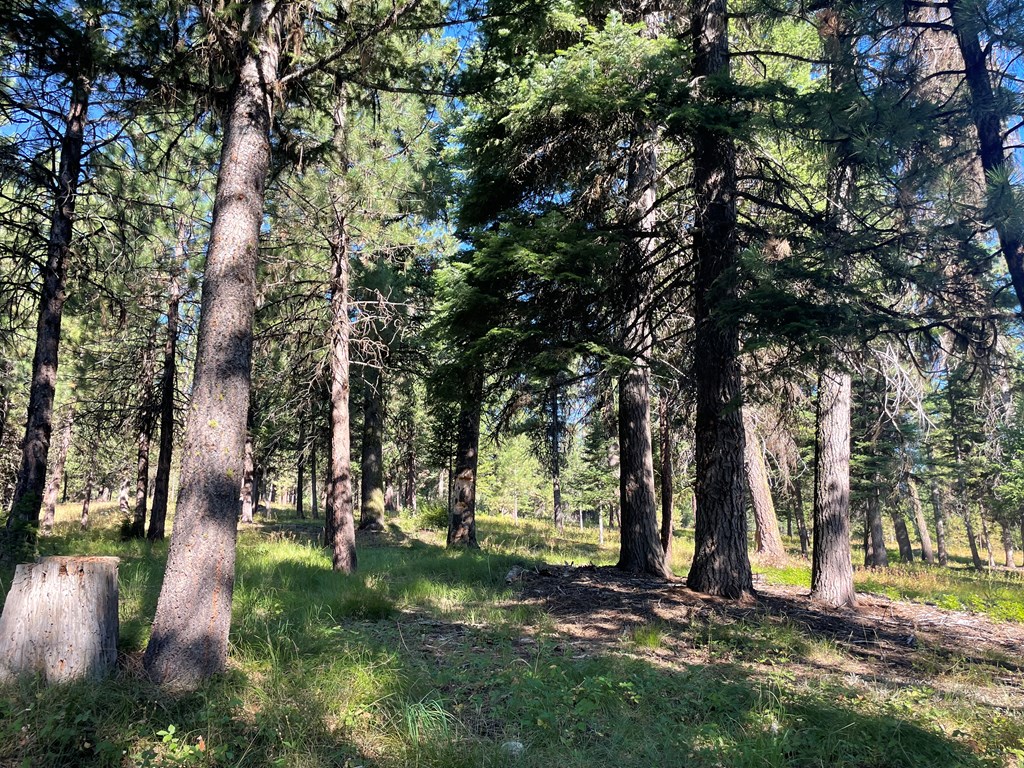 Tbd Crowley Lane McCall, ID 83638 - Photo 18 of 18